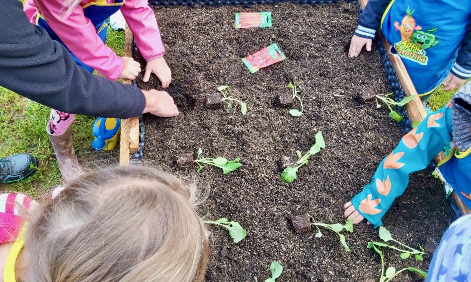 Kinder der KiTa für Alle im Inklusiven Campus Duderstadt lernen, wie Gemüse angebaut wird.
