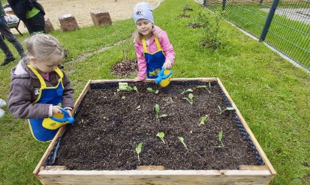 Kinder der KiTa für Alle im Inklusiven Campus Duderstadt lernen, wie Gemüse angebaut wird.