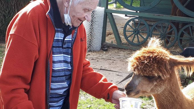Ganz nah ran kamen die Tagesgäste ...