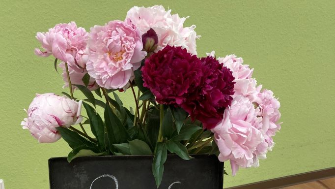 Sommerfest in der Tagespflege St. Vinzenz | Foto: Caritas