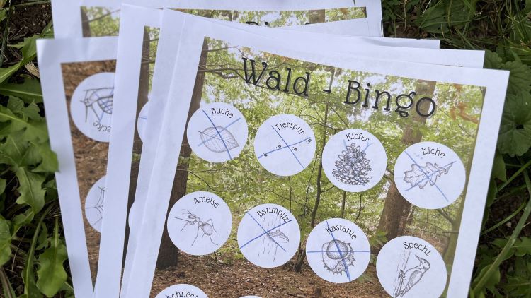 Familienwanderung auf den Pferdeberg