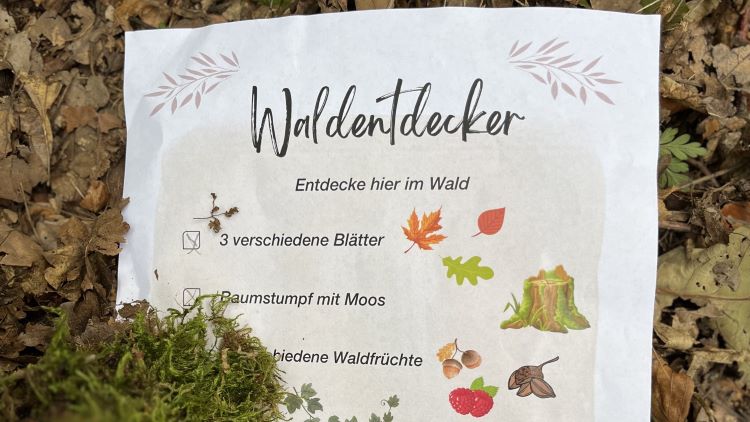 Familienwanderung auf den Pferdeberg