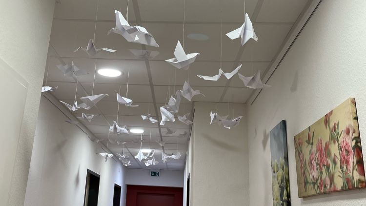 Zahlreiche Tauben schmücken nun den Flur und …